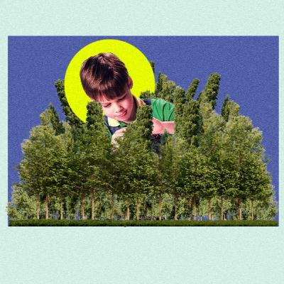 Інфаркт у шумным раёне і хлопчык, які пасадзіў 17 тысяч дрэў Інфаркт у шумным раёне і хлопчык, які пасадзіў 17 тысяч дрэў