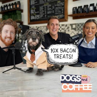 This Company LEGALLY made a DOG their CEO 😅 This Company LEGALLY made a DOG their CEO 😅