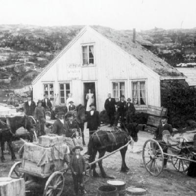 En julehistorie fra Høifjeldet ved Ofotbanen