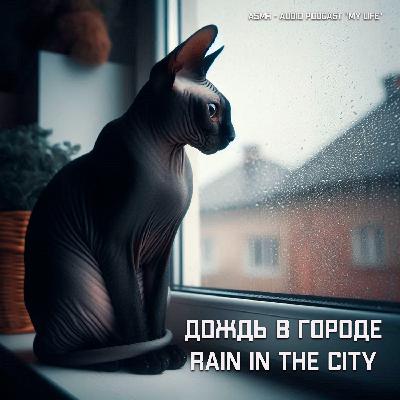 ASMR - Дождь в городе Rain in the city