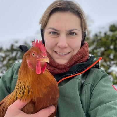 Hühnerhaltung im Garten - Plauderstunde mit Bine @eilovehuehner #26