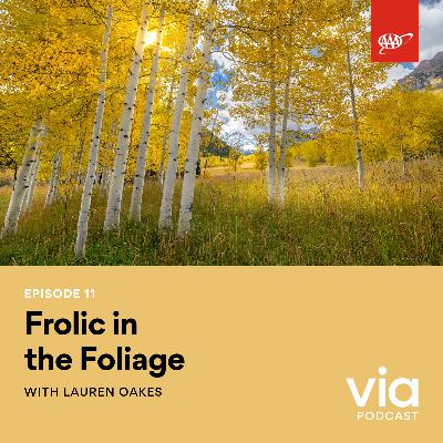 Frolic in the Foliage with Lauren Oakes