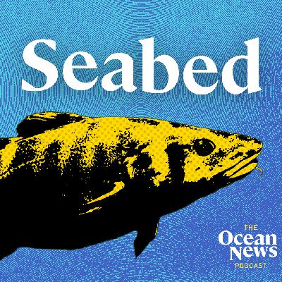 Off the Menu. Fish are KEY seabed engineers - The Ocean News Podcast