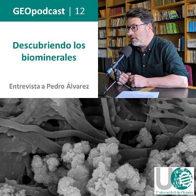 GeoPodcast 1x12. Descubriendo los biominerales