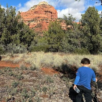 今世の地球上での役割が、設計図に描かれている