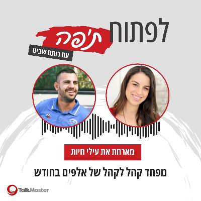 מפחד קהל לקהל של אלפים בחודש, עם עילי חיות | פרק 17
