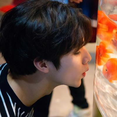 xiaojun talking (asmr + calming soft rain)