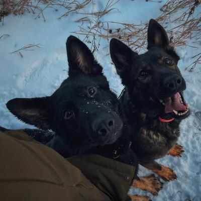 Episode 20: Balls & Vags