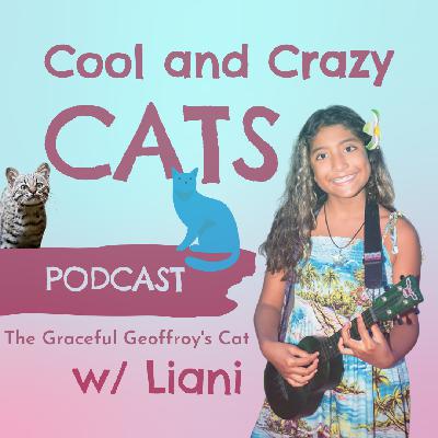 The Graceful Geoffroy's Cat