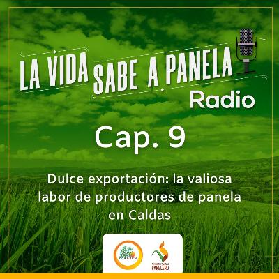 Capítulo 9 - Dulce exportación: la valiosa labor de productores de panela en Caldas Capítulo 9 - Dulce exportación: la valiosa labor de productores de panela en Caldas
