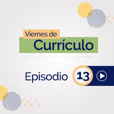 Ciclos de formación en los programas de la FUCS: Una lógica curricular del proceso formativo.