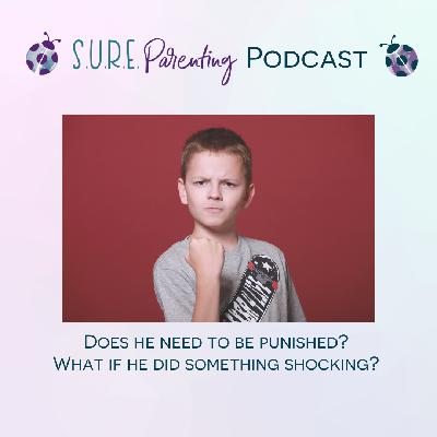 S3 - E4 Does He Need a Punishment for THIS? - Mom of 8 yo asks for help S3 - E4 Does He Need a Punishment for THIS? - Mom of 8 yo asks for help