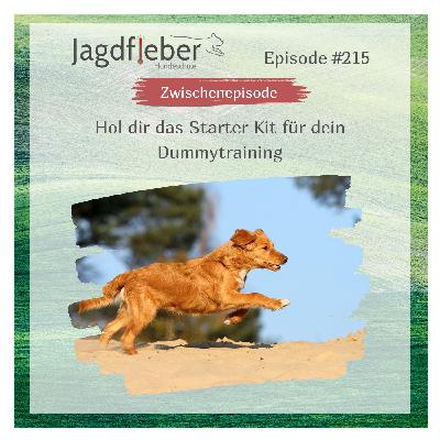 P215: Hol dir das Starter Kit für dein Dummytraining