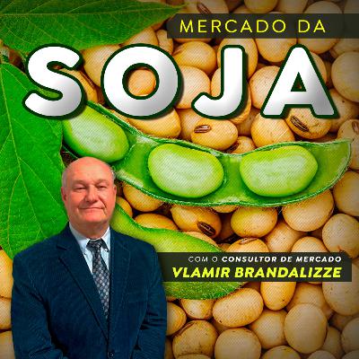 Altas da soja vão voltar? inverno rigoroso no hemisfério norte acende alerta