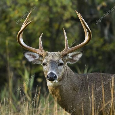 Bickering about 2025 pt 1 - Bickering Bucks Ep 26