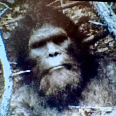 3 TRUE SCARY ALONE AT NIGHT HORROR STORIES