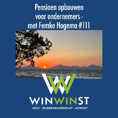 Pensioen opbouwen voor ondernemers - met Femke Hogema #111