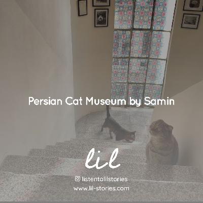 Persian Cat Museum by Samin | میوزهٔ گربهٔ ایرانی، ثمین