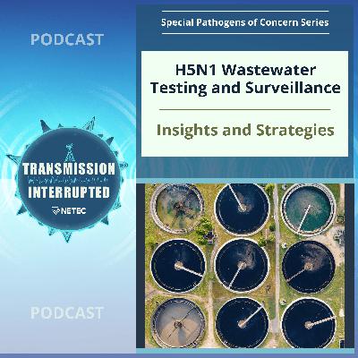 H5N1 Wastewater Testing and Surveillance: Insights and Strategies