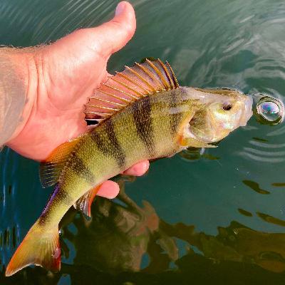 Was geht im Pott? - Im Ruhrgebiet mit Dennis Siever | #183