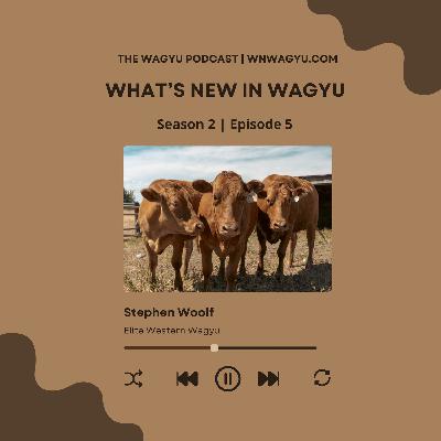Season 2: Episode 5