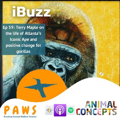 Ep59 Terry Maple on the life of Atlanta’s Iconic Ape and positive change for gorillas Ep59 Terry Maple on the life of Atlanta’s Iconic Ape and positive change for gorillas