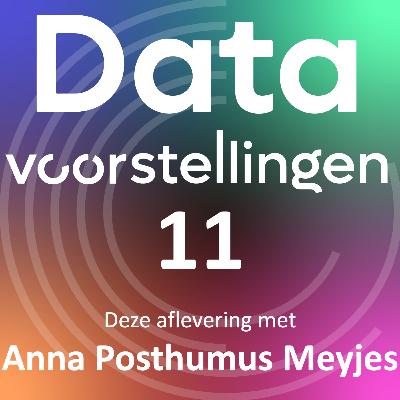 Anna Posthumus Meyjes - Legal Designer: Over sangria en van advocatuur naar legal design