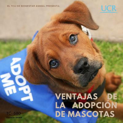 Episodio 43: Ventajas de la adopción de mascotas