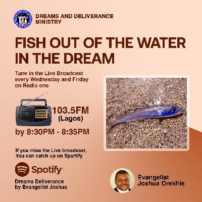Dream Of Fish Out Of The Water In The Dream