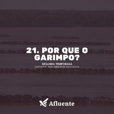 21. Por que o garimpo?