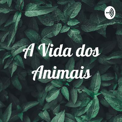 Conto infantil
