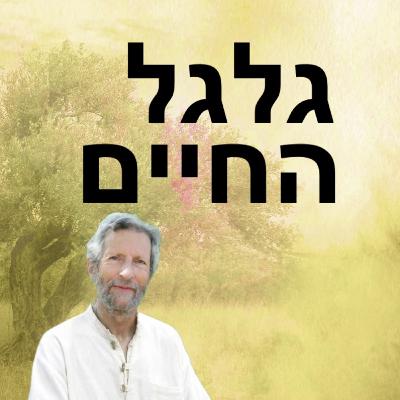 התהוות מותנית #3 חושים ומגע. ניקוי דלתות התפיסה