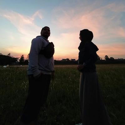 Bunga matahari