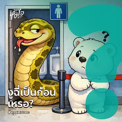 #คุณหมาคะ : งูฉี่เป็นก้อนเหรอ?