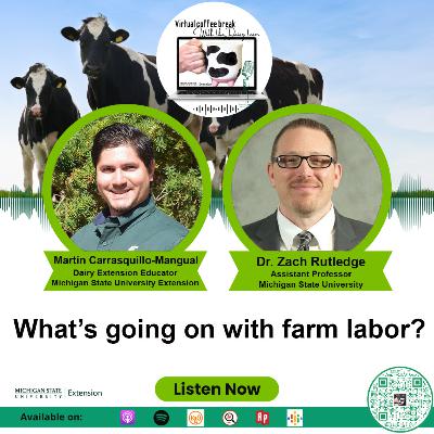 What's going on with farm labor?