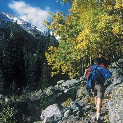Explore the Majestic Trails