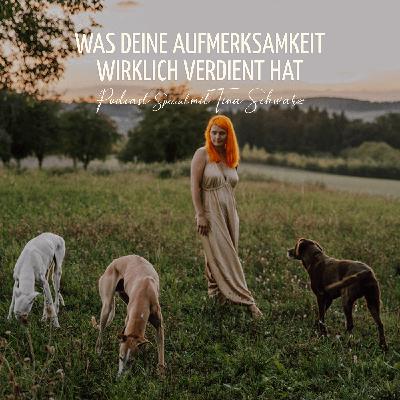 Was deine Aufmerksamkeit wirklich verdient hat Was deine Aufmerksamkeit wirklich verdient hat