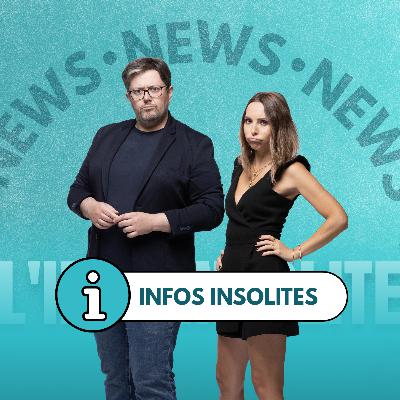 Une TikTokeuse agressée par une vache