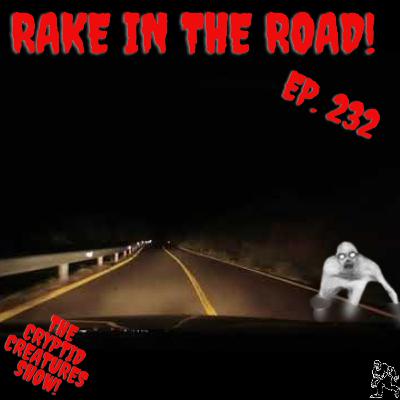 Rake in the Road! EP. 232