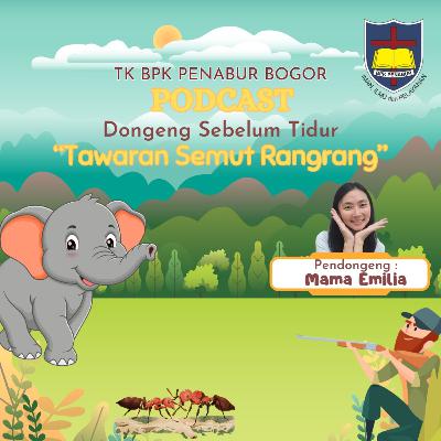 Tawaran Semut Rangrang