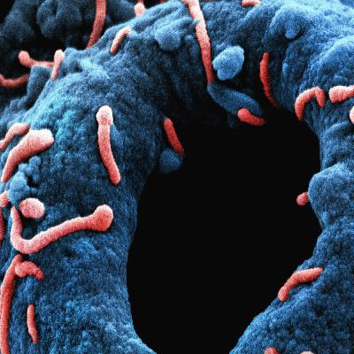 London “superflu” warning, Tube fare hike, UK satellite-to-mobile push & PlayStation 2025 Wrap-Up London “superflu” warning, Tube fare hike, UK satellite-to-mobile push & PlayStation 2025 Wrap-Up