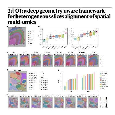 772-3d-OT：空间多组学切片对齐的几何感知深度学习框架