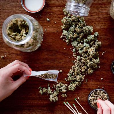 Non è un’opinione, è questione di diritti la cannabis va resa legale