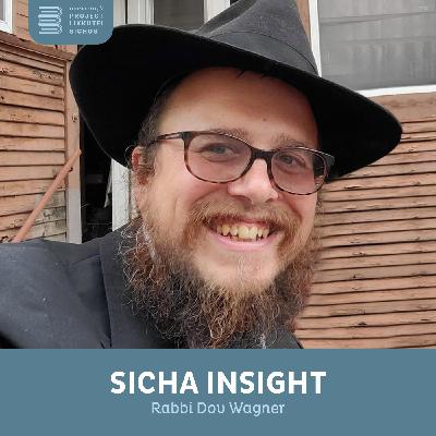 Chelek 14 Shoftim 2 - Rabbi Dov Wagner Chelek 14 Shoftim 2 - Rabbi Dov Wagner