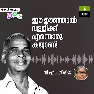 ഈ ഊഞ്ഞാൽ വള്ളിക്ക് എന്തൊരു കയ്പാണ്!