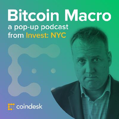 Josh Brown on Protest Assets, Bitcoin Pessimism and Possibility