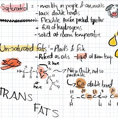 Lipids and Carbs - Episode 9#