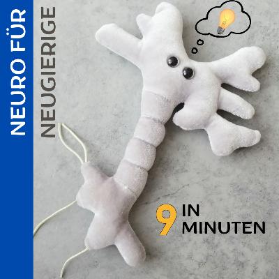 Neuro to go