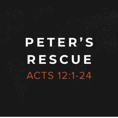 Peter's Rescue Peter's Rescue