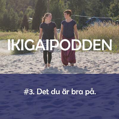 #3. Det du är bra på